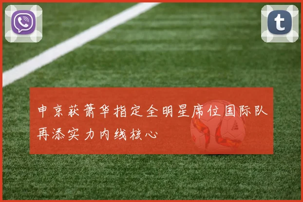 申京获萧华指定全明星席位国际队再添实力内线核心