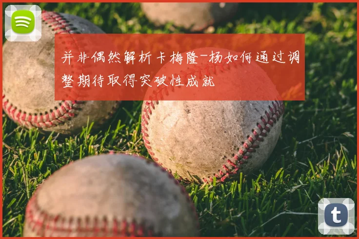 并非偶然解析卡梅隆-杨如何通过调整期待取得突破性成就