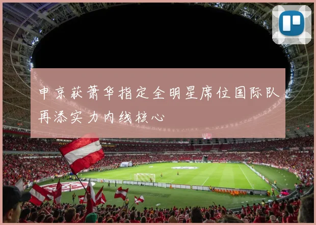 申京获萧华指定全明星席位国际队再添实力内线核心