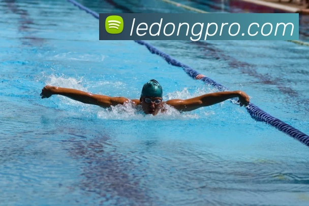 乐动体育服务体系